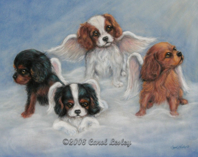 angels cavalier rescue